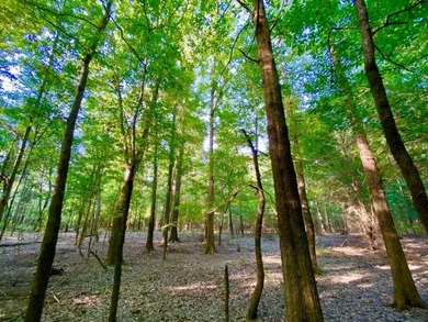 This diverse riverfront property is a rare find. Located between - photo 21