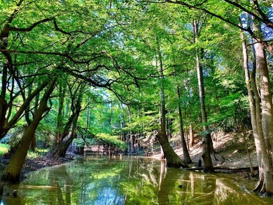 This diverse riverfront property is a rare find. Located between - photo 22