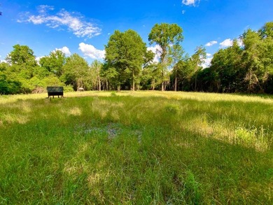 This diverse riverfront property is a rare find. Located between - photo 30