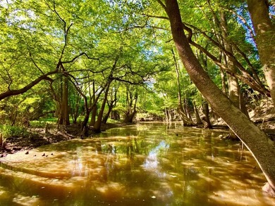 This diverse riverfront property is a rare find. Located between - photo 31