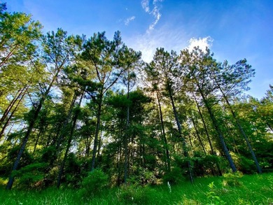 This diverse riverfront property is a rare find. Located between - photo 35