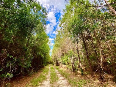 This diverse riverfront property is a rare find. Located between - photo 37
