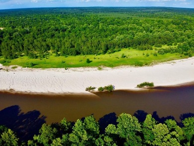 This diverse riverfront property is a rare find. Located between - photo 38