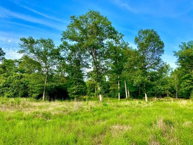 This diverse riverfront property is a rare find. Located between - photo 40