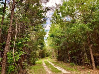 This diverse riverfront property is a rare find. Located between - photo 43