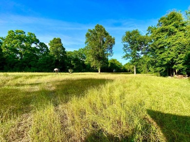 This diverse riverfront property is a rare find. Located between - photo 45