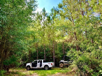This diverse riverfront property is a rare find. Located between - photo 48