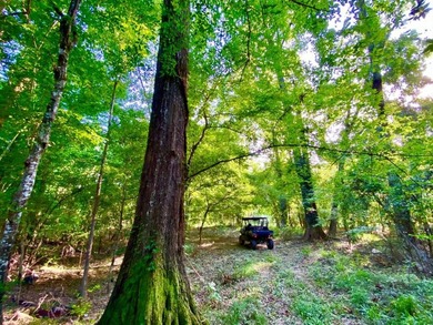 This diverse riverfront property is a rare find. Located between - photo 49