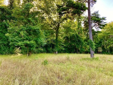 This diverse riverfront property is a rare find. Located between - photo 50