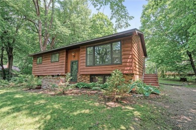 Lake Home For Sale in White Bear Twp, Minnesota