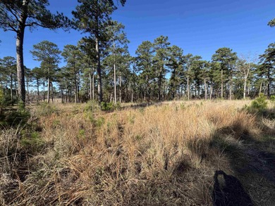 Lake Sam Rayburn  Lot For Sale in Brookeland Texas