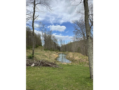 Your own private sanctuary awaits! Over 28 acres of pure - photo 8