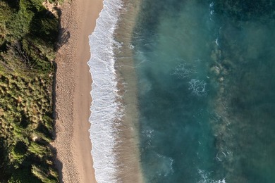 Oceanfront home and cottage in a highly desirable private and - photo 12