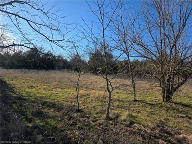 ** OWNER FINANCING AVAILABLE** This 11.5 acre Kiamichi Mountain - photo 13