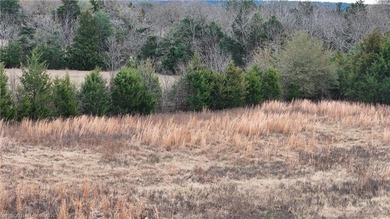 ** OWNER FINANCING AVAILABLE** This 11.5 acre Kiamichi Mountain - photo 20