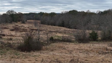 ** OWNER FINANCING AVAILABLE** This 11.5 acre Kiamichi Mountain - photo 21