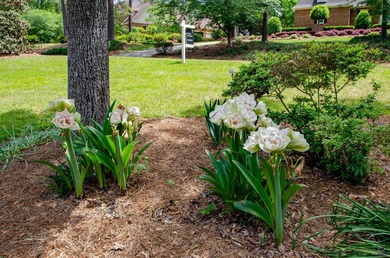 Additional listing photo 3