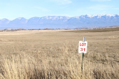 Flathead Lake Lot For Sale in Polson Montana