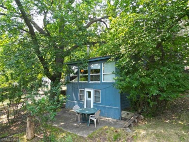 Lake Home For Sale in South Haven, Minnesota