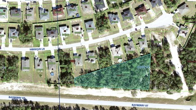 Lake Marion - Polk County Lot For Sale in Poinciana Florida