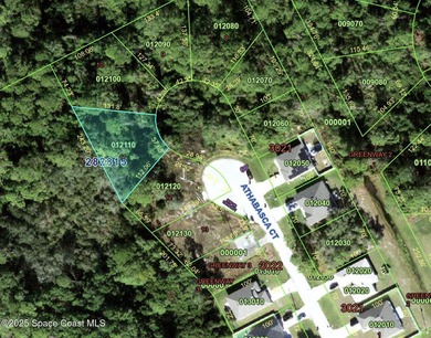 Lake Marion - Polk County Lot For Sale in Poinciana Florida