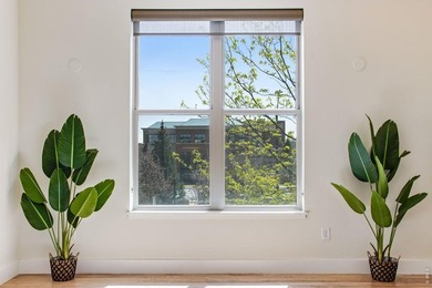 Experience contemporary downtown living at 204 Maple St, Unit - photo 5