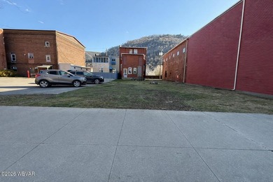 Susquehanna River - Clinton County Lot For Sale in Renovo Pennsylvania