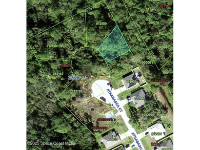 Lake Marion - Polk County Lot For Sale in Poinciana Florida
