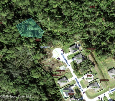 Lake Marion - Polk County Lot For Sale in Poinciana Florida