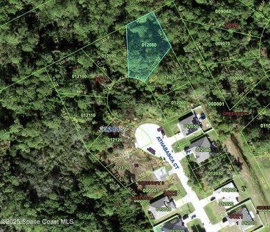 Lake Marion - Polk County Lot For Sale in Poinciana Florida