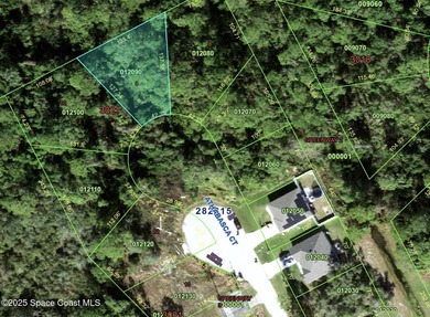 Lake Marion - Polk County Lot For Sale in Poinciana Florida