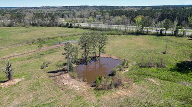 48 Acres | Prime Pastureland with Excellent Access Located just - photo 11