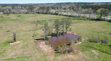48 Acres | Prime Pastureland with Excellent Access Located just - photo 12