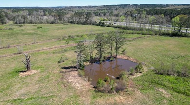 48 Acres | Prime Pastureland with Excellent Access Located just - photo 13