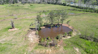 48 Acres | Prime Pastureland with Excellent Access Located just - photo 14