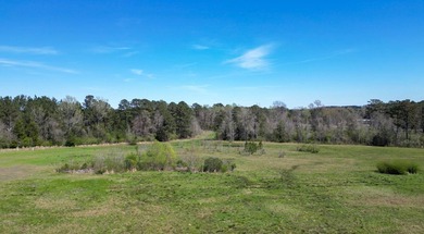 48 Acres | Prime Pastureland with Excellent Access Located just - photo 16