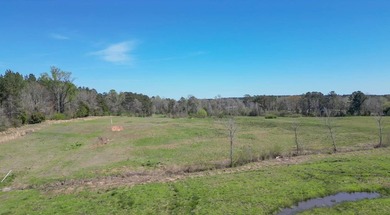 48 Acres | Prime Pastureland with Excellent Access Located just - photo 17