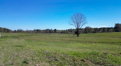 48 Acres | Prime Pastureland with Excellent Access Located just - photo 21