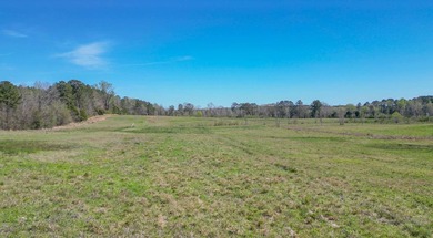 48 Acres | Prime Pastureland with Excellent Access Located just - photo 22