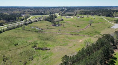 48 Acres | Prime Pastureland with Excellent Access Located just - photo 24