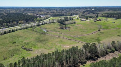 48 Acres | Prime Pastureland with Excellent Access Located just - photo 25