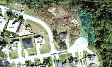 Lake Marion - Polk County Lot For Sale in Poinciana Florida