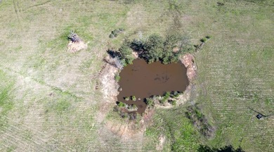 48 Acres | Prime Pastureland with Excellent Access Located just - photo 36
