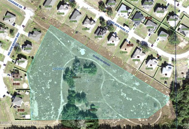 Lake Marion - Polk County Acreage For Sale in Poinciana Florida