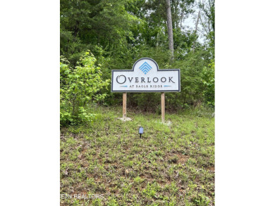 Lake Acreage For Sale in Rockwood, Tennessee
