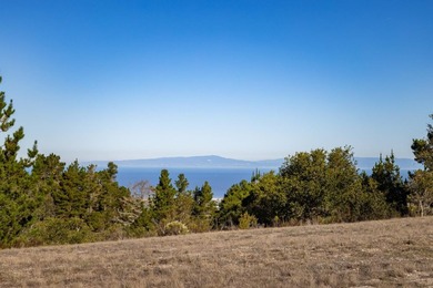 Welcome to one of Tehama's finest lots. Nestled on a ridgeline - photo 11