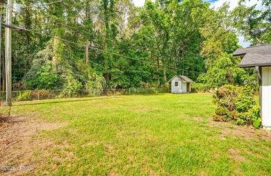 Recently renovated 3BR/2BA home in the Mink Point neighborhood! - photo 35