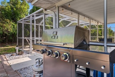 Welcome to this beautifully renovated 3-bedroom, 2-bathroom pool - photo 35