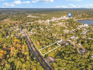 Lake Lot For Sale in Defuniak Springs, Florida