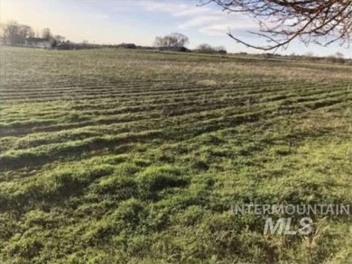 Snake River - Gooding County Acreage For Sale in Jerome Idaho